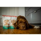 Dog Accessories Wet pet food Bland diet (Dog) 50g 1 Piece -4- Anifit